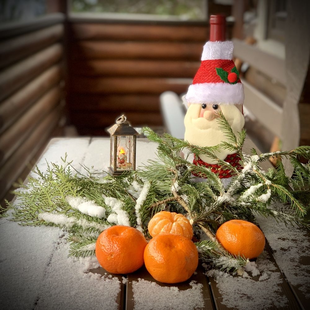 Новогодний натюрморт с мандаринами