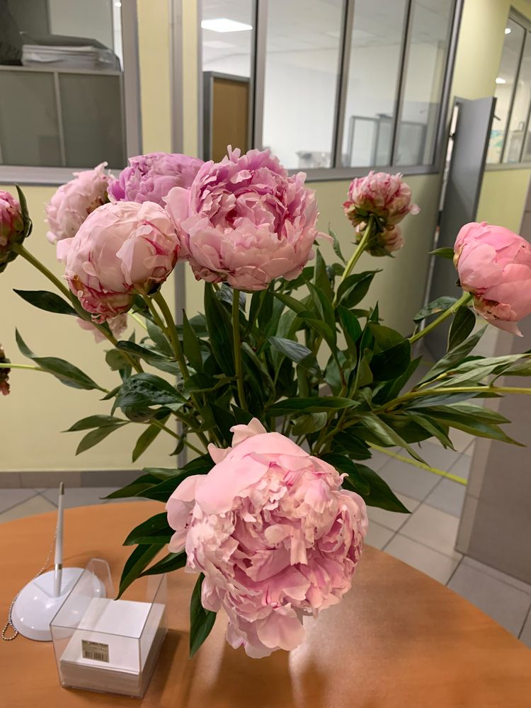 Photograph by Елена Макуха