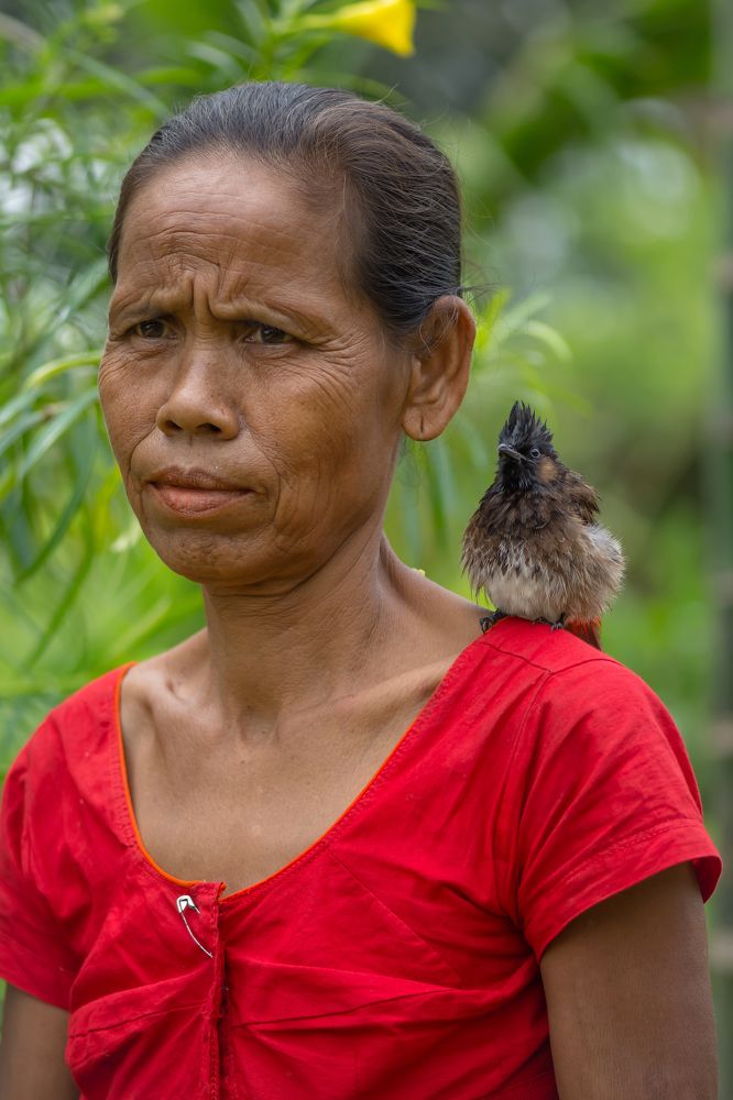 Фотография автора Dipayan Debbarma