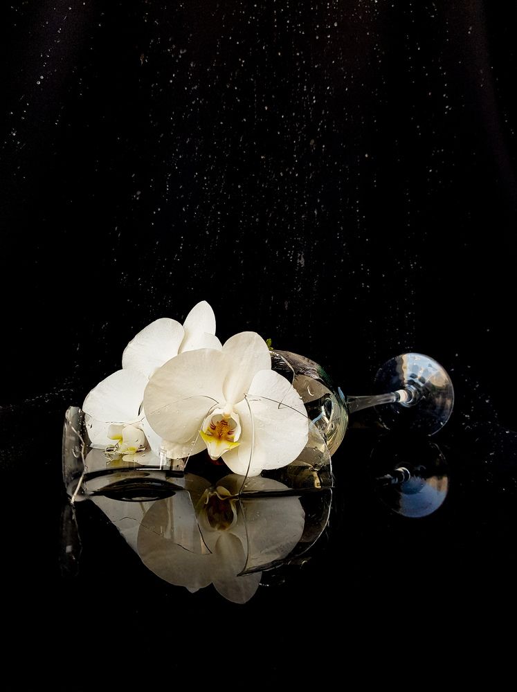 Photograph by Татьяна Яркович