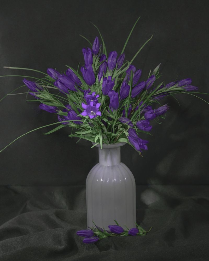 Элегантность полевых цветов.