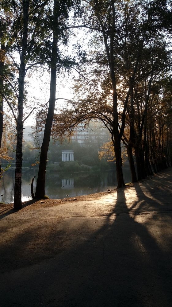 Photograph by Анастасия Кот