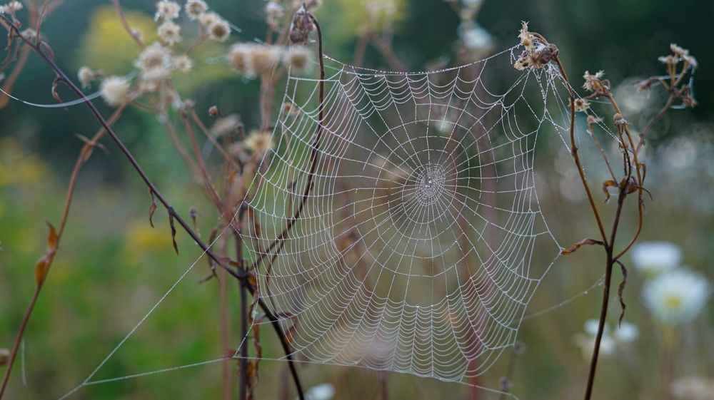 Photograph by Роман Трошин