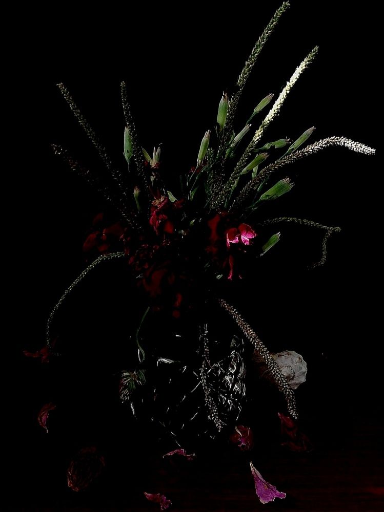 Photograph by Галина