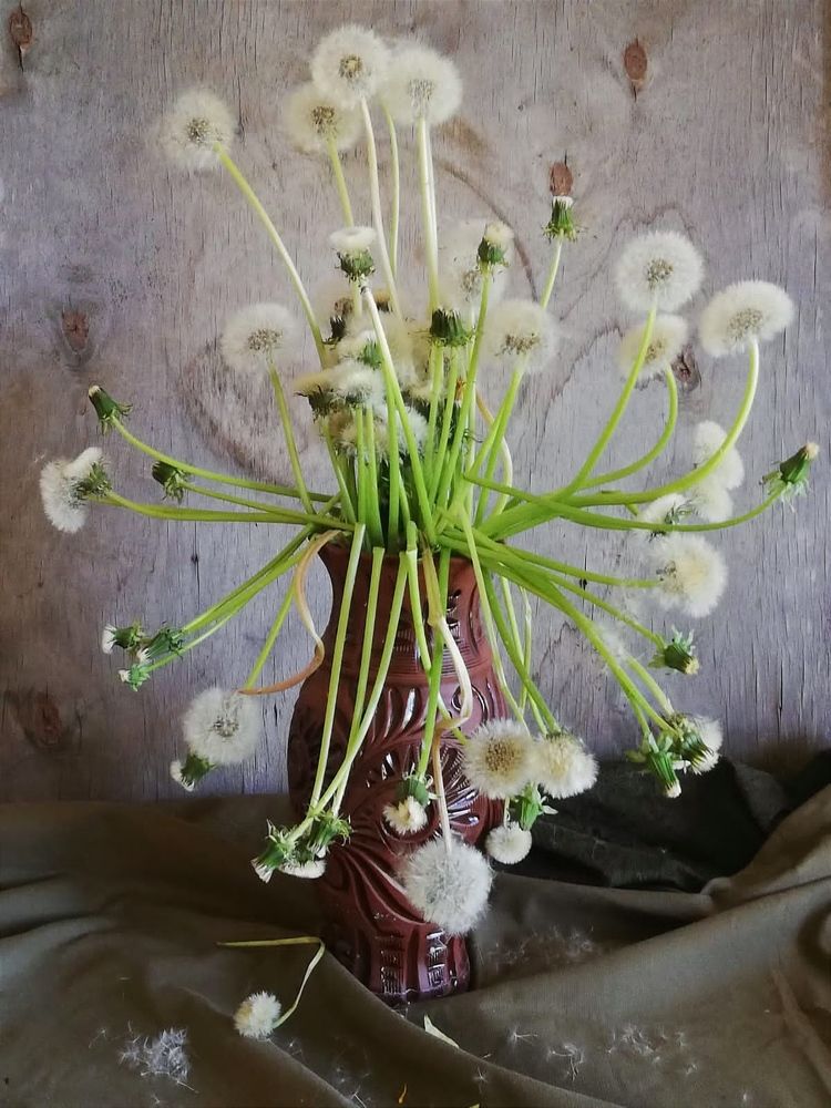 Photograph by Галина