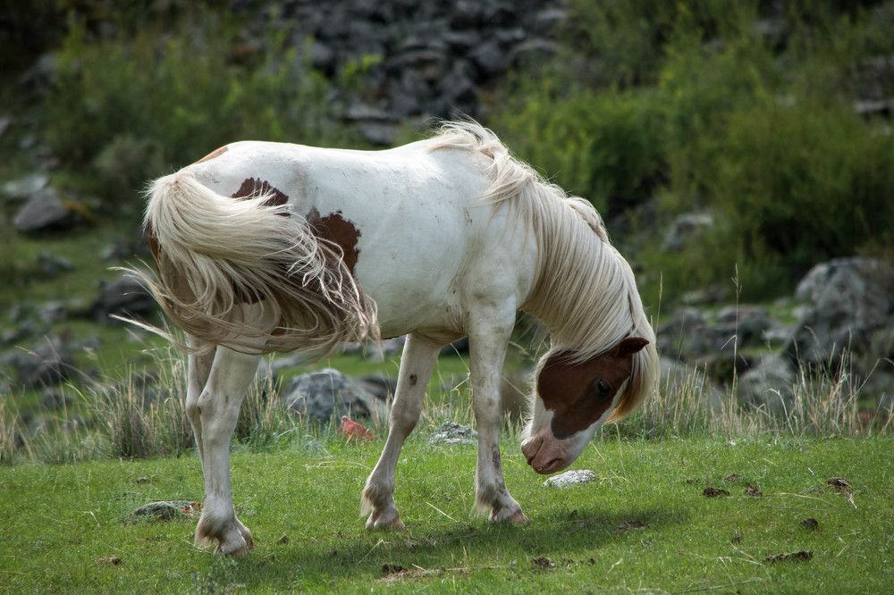 Photograph by Наталья