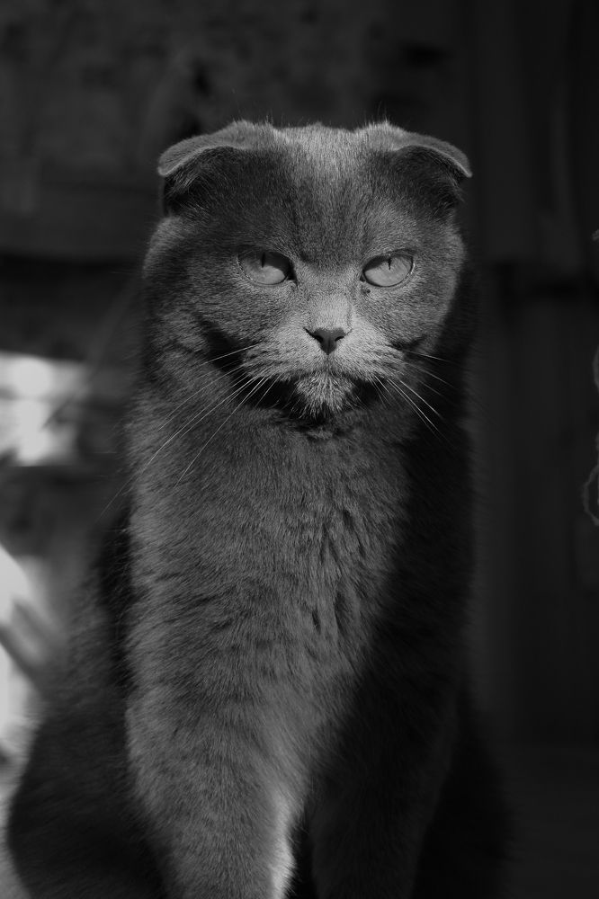 Photograph by Анастасия Романова