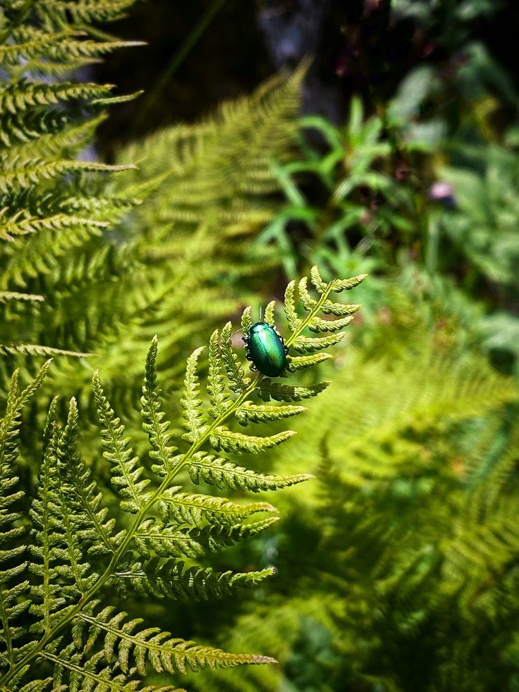 Photograph by Мозжухин Максим