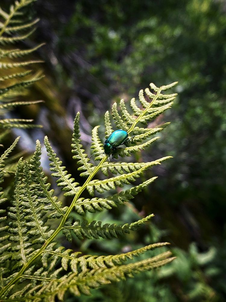 Photograph by Мозжухин Максим