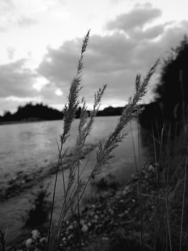 Photograph by Денис Б