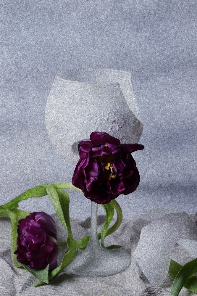 Photograph by Ольга Шевченко