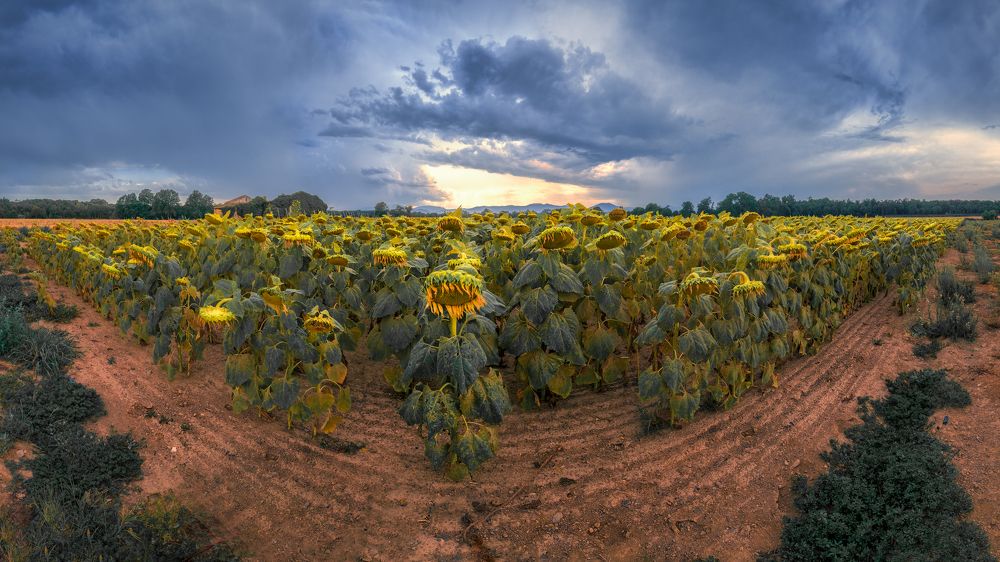 Photograph by García Marín Juan Diego