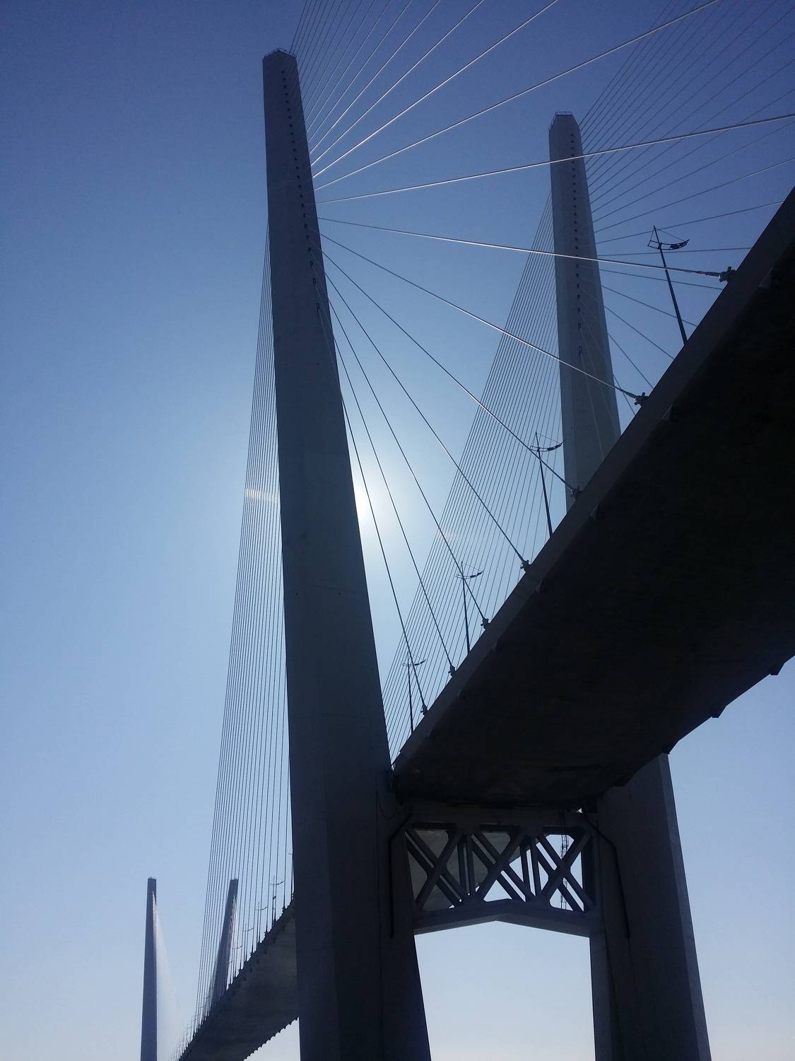 Photo #7917651