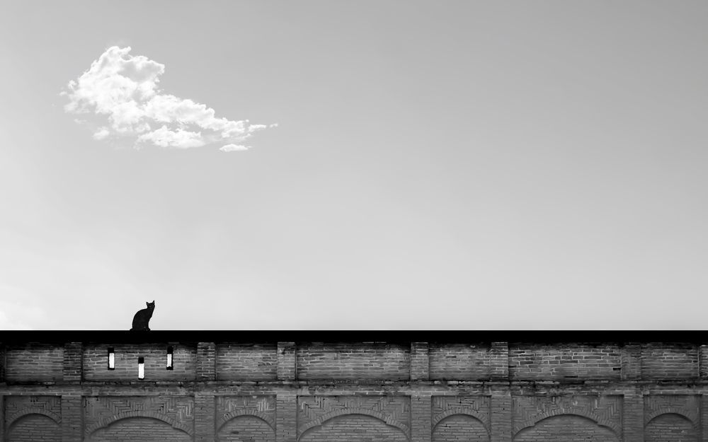 Фотография автора arastoo qadermazi