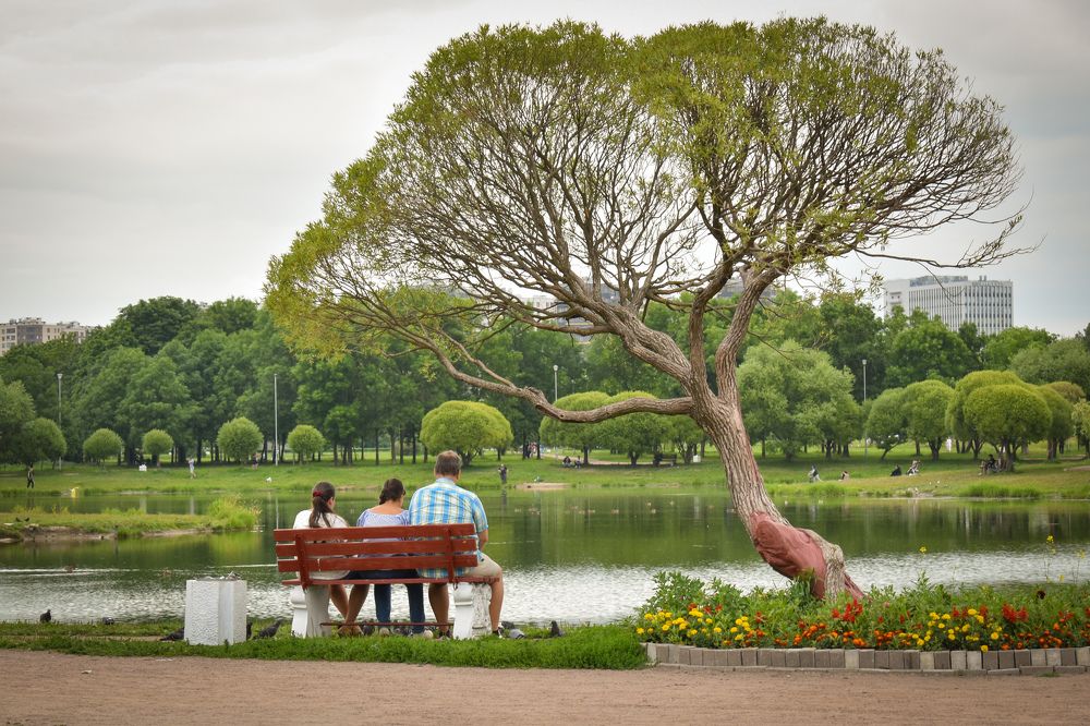 Photograph by Татьяна Сурова