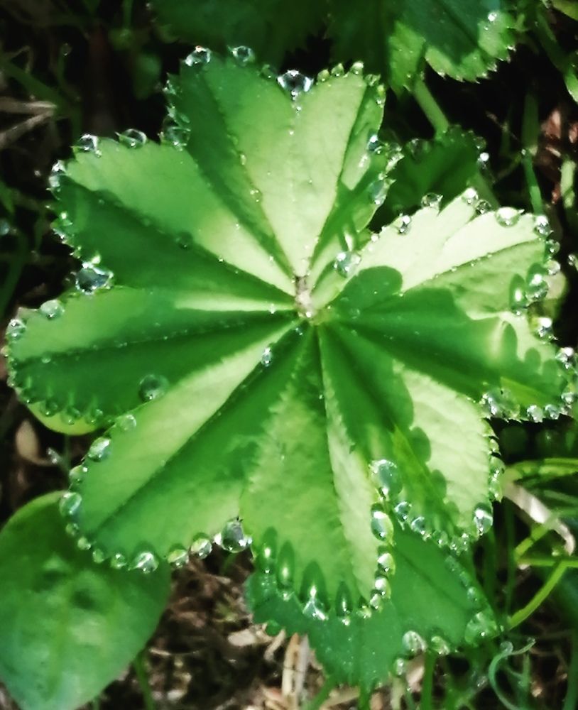 Photograph by Галина Смирнова