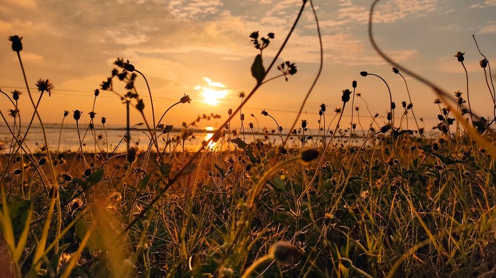 Photograph by Gihan Viraj Thilakarathna