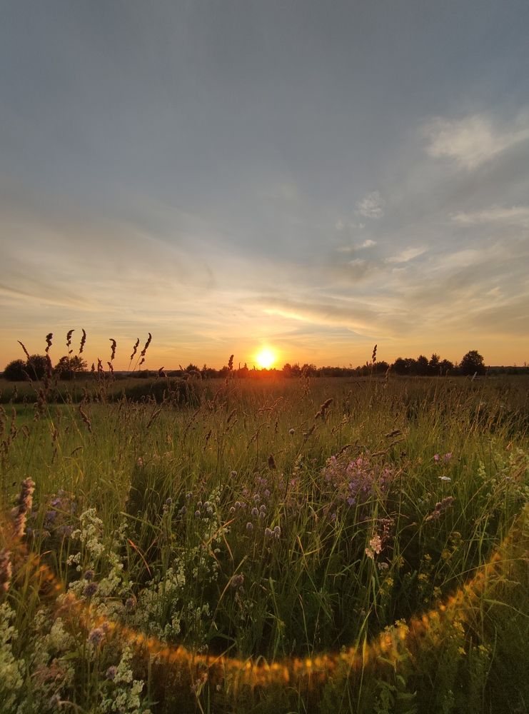 Photograph by Ирина Алексеевская