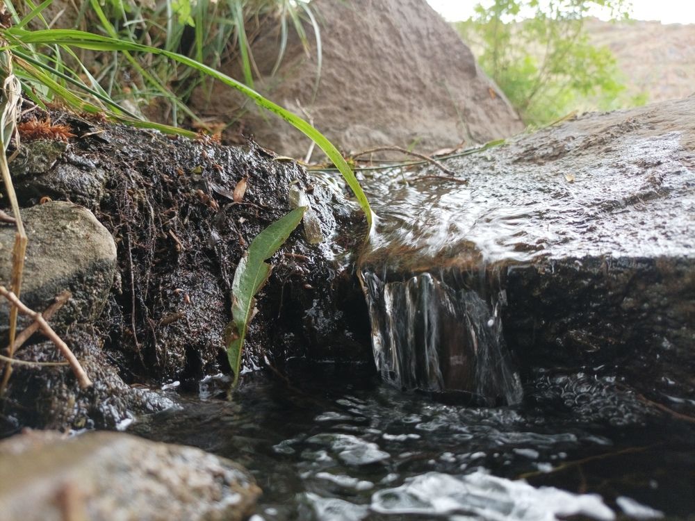 Photo #7917944