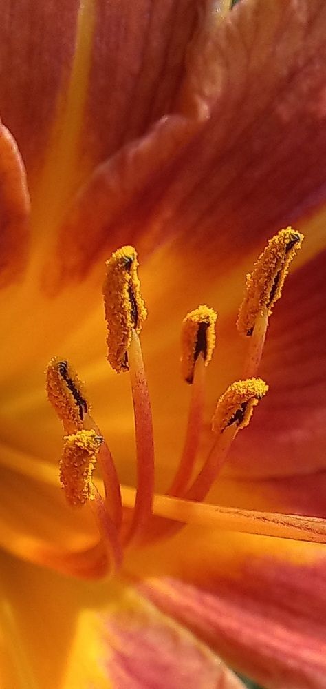 Photograph by Евгений Савулькин