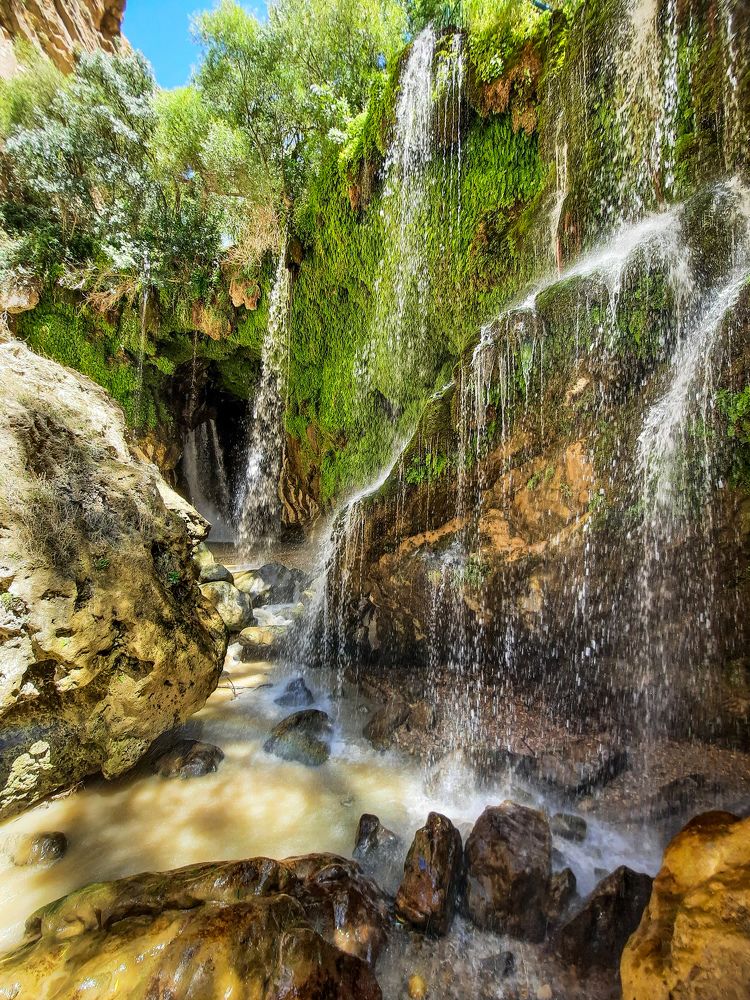 Фотография автора Sajjad Hoseinabadi