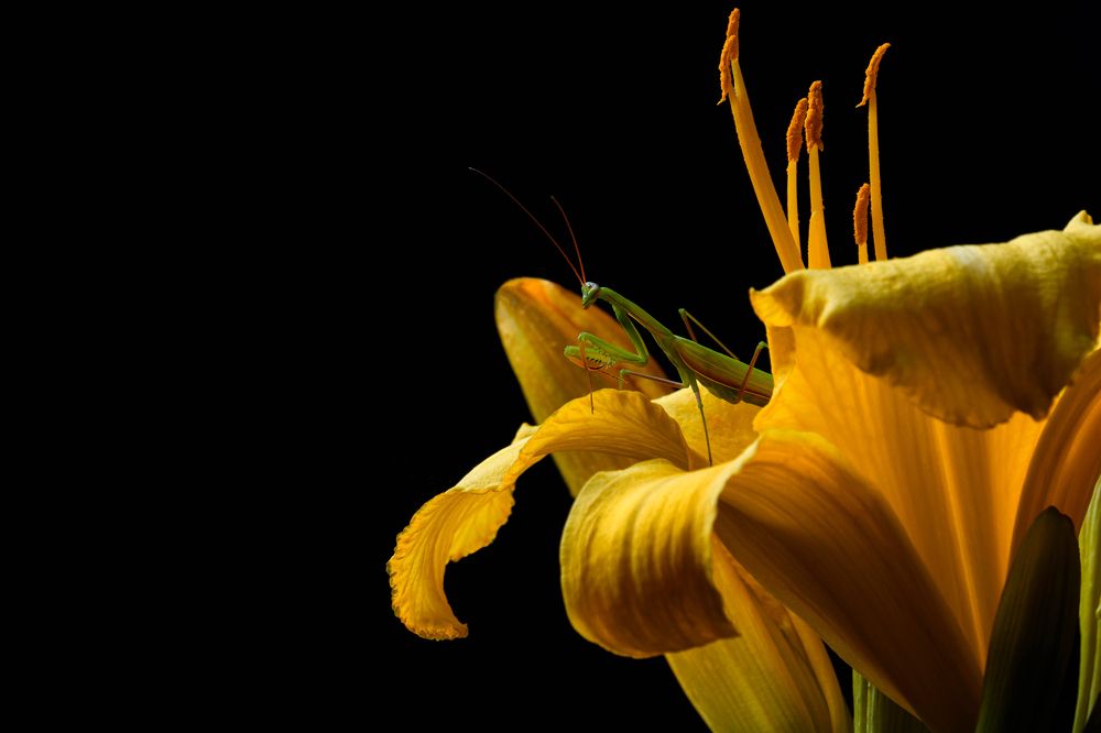 Photograph by Виталий Бодрягин