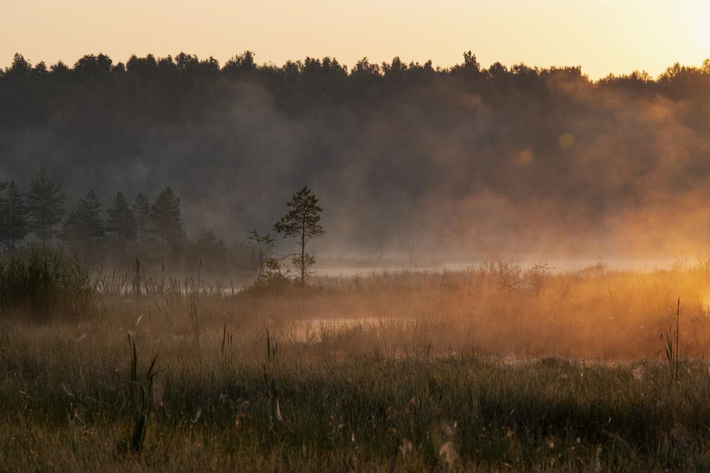 Фотография автора Надежда Павлова