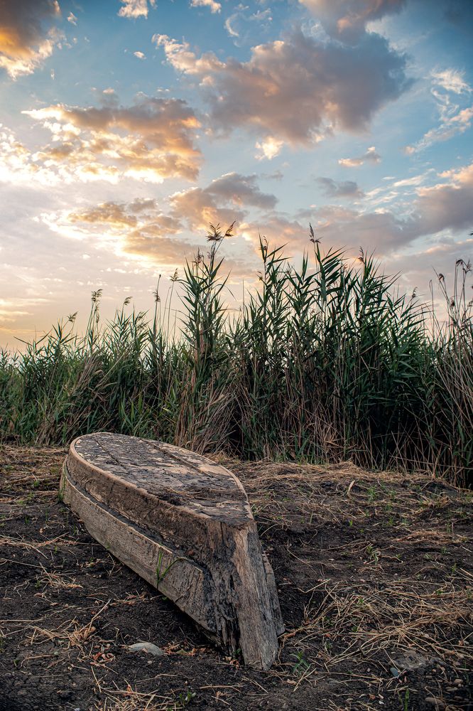 Photograph by Алексей Тимофеев