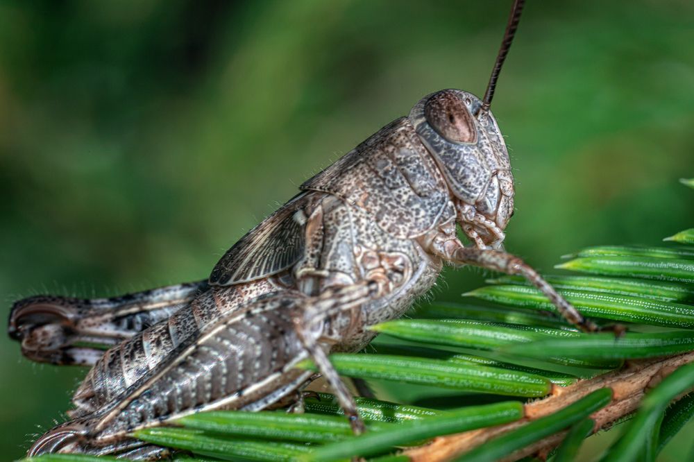 Photograph by Алексей Тимофеев