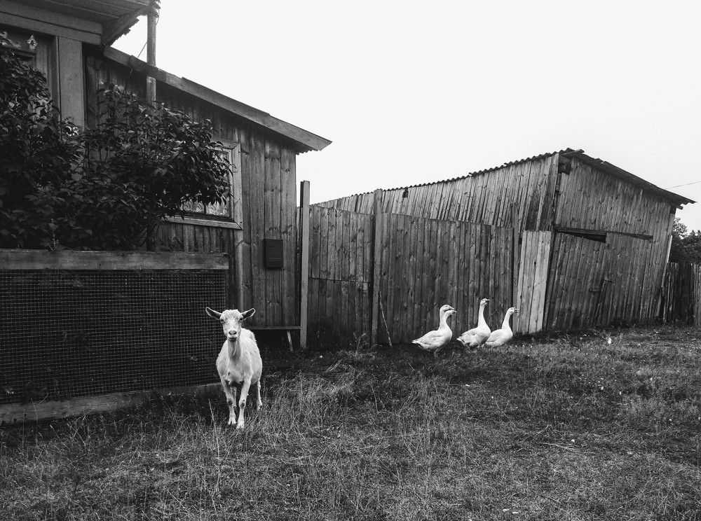 Photograph by Денис Терехин