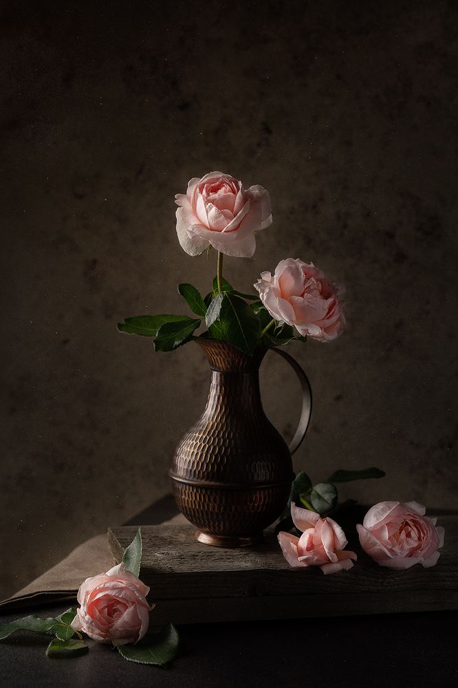 Photograph by Ольга ЯR