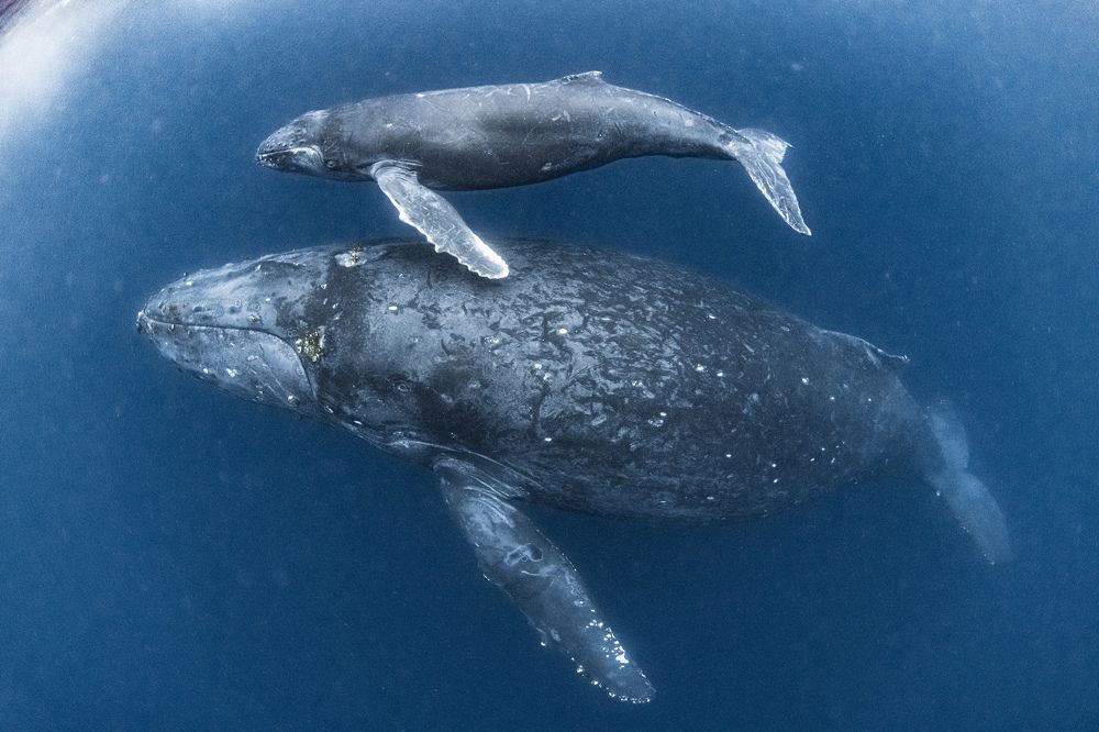 Photograph by KURASHIMA DAISUKE