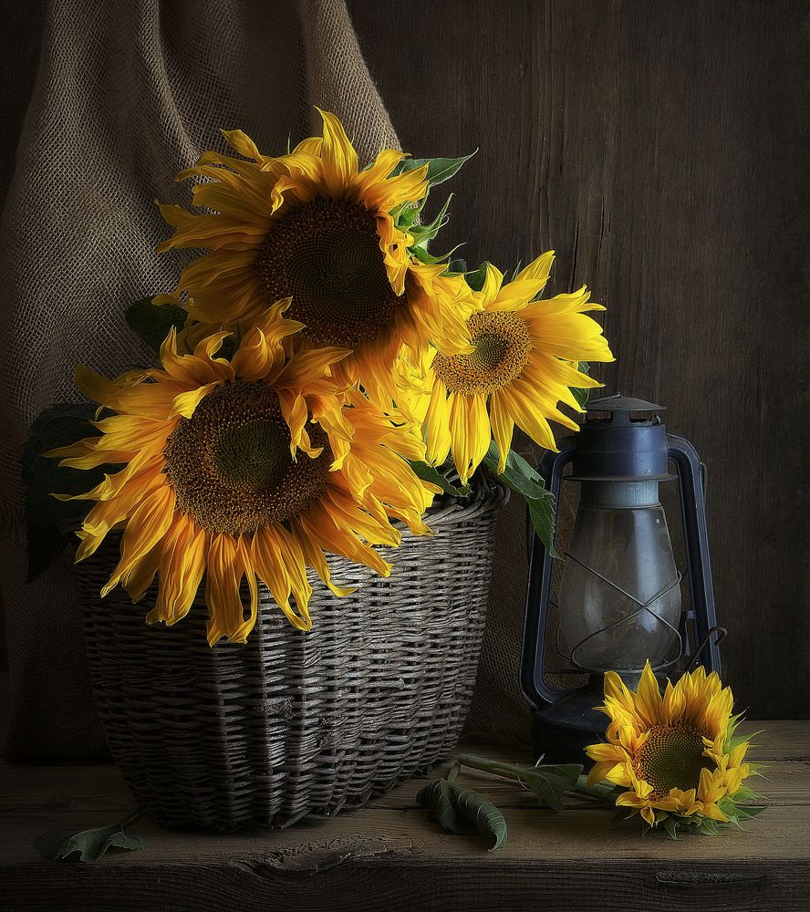 Photograph by Сергей Алексеев