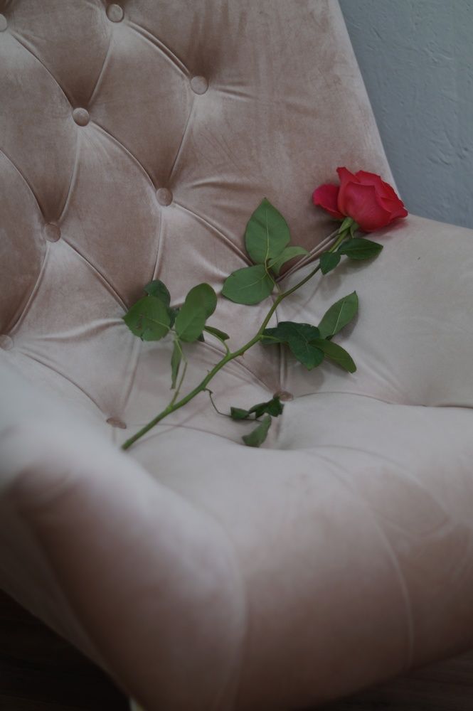 Photograph by Анастасия Позинич