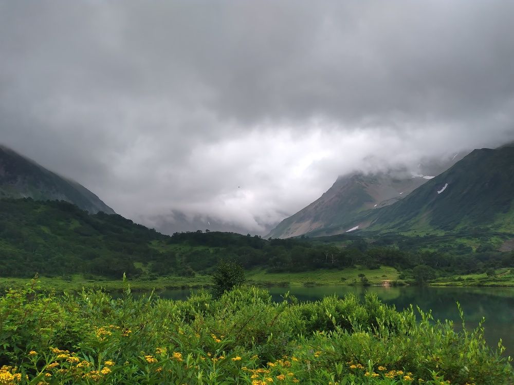 Photo #7918514