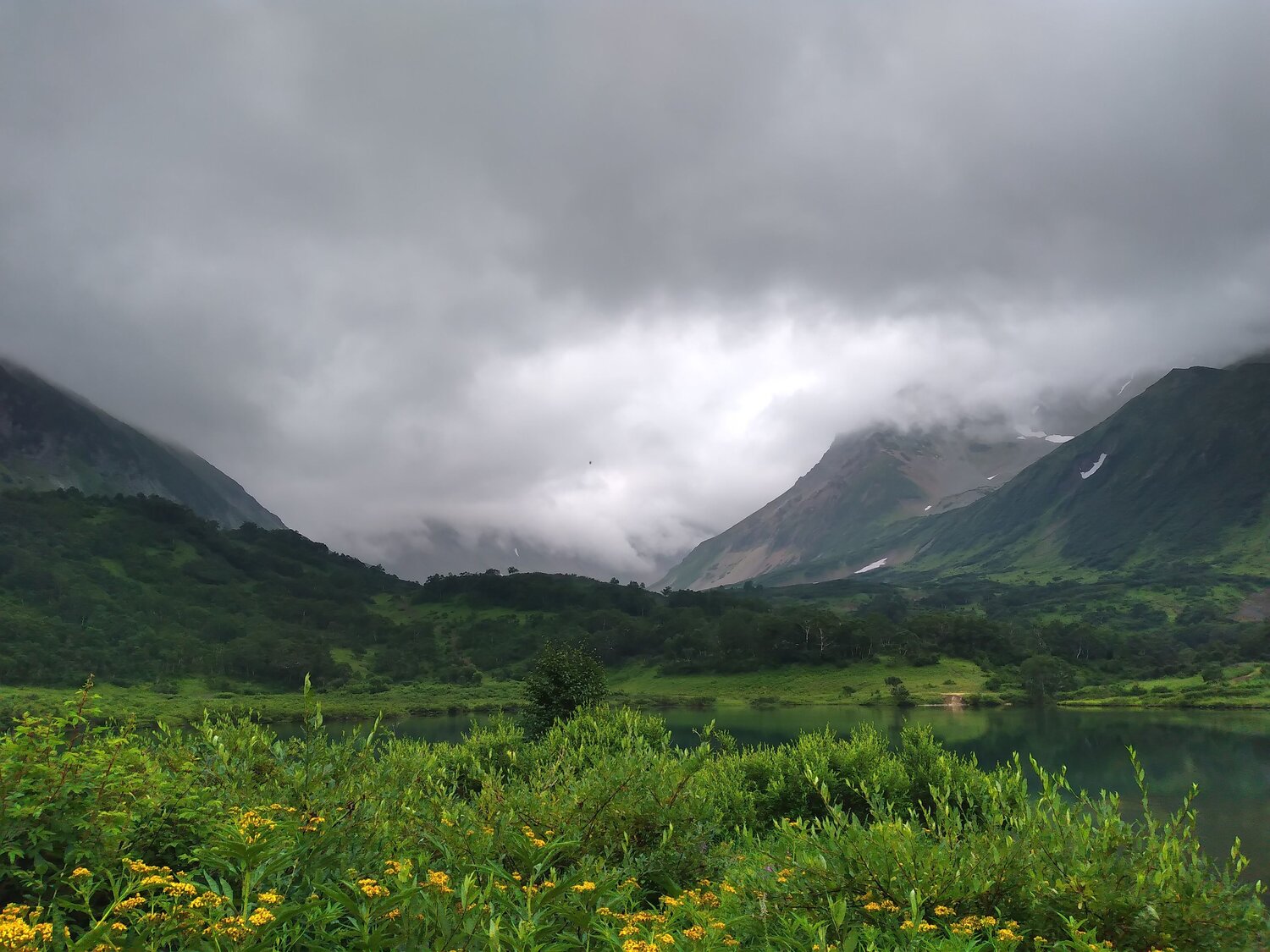Photo #7918514