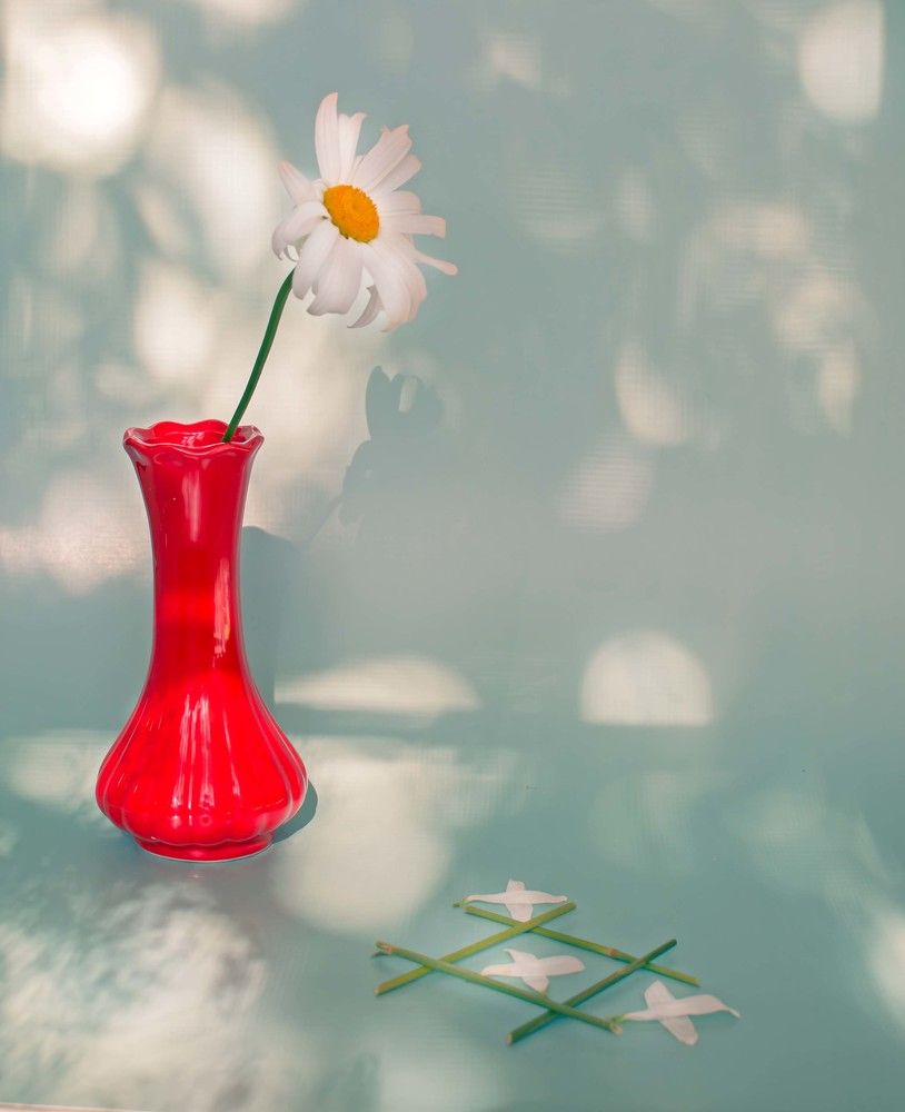 Photograph by Елена Кулыгина