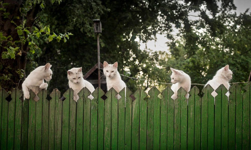 Photograph by Sergej