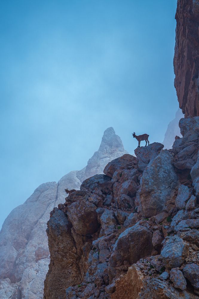 Photograph by Alex Christian