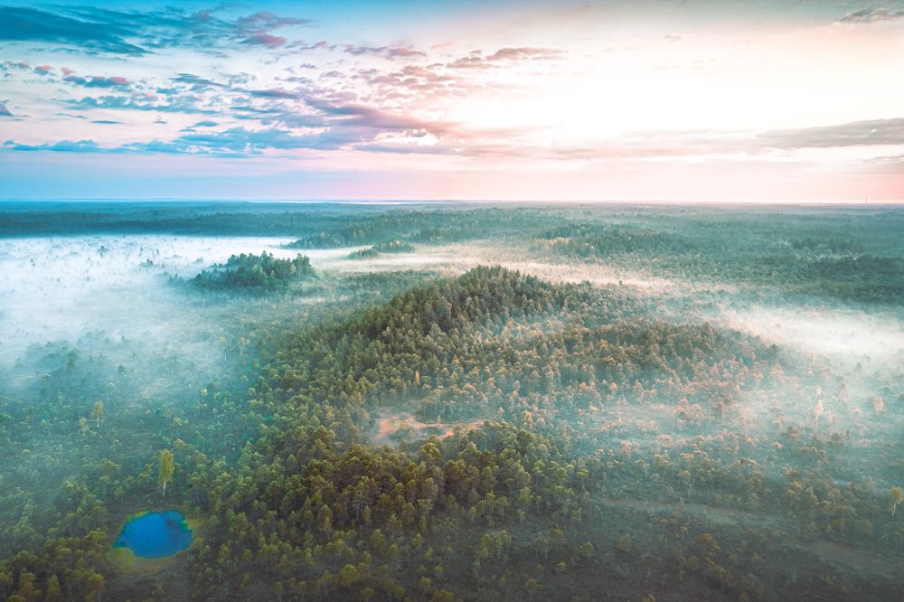 Photograph by Парфентьев Антон