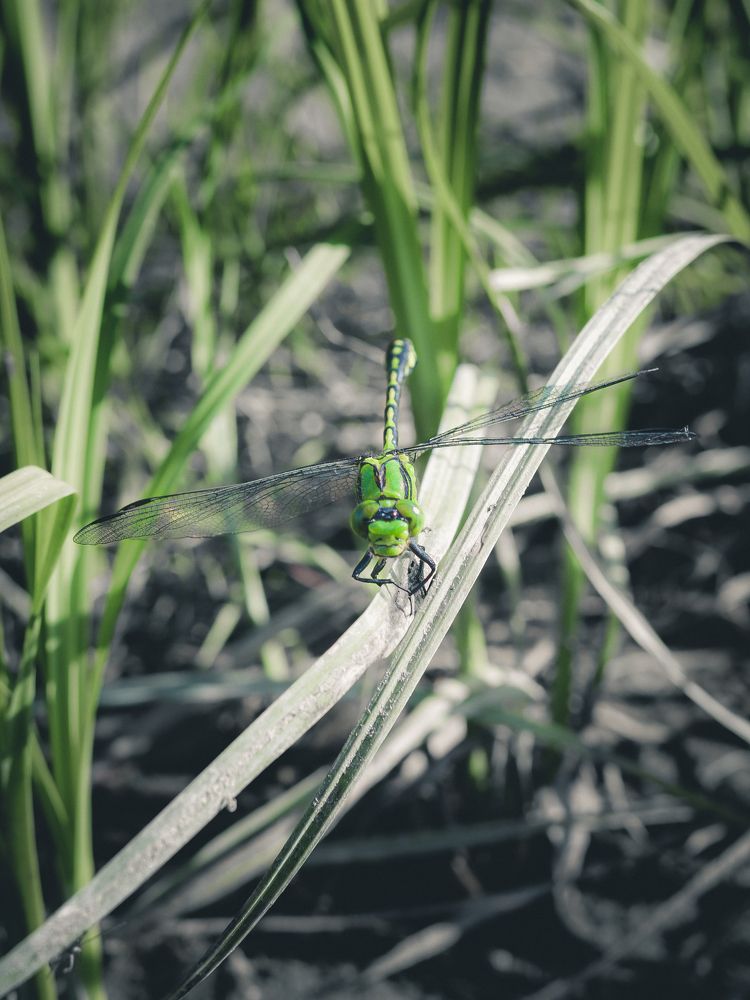 Photograph by Евгений Кузьмин