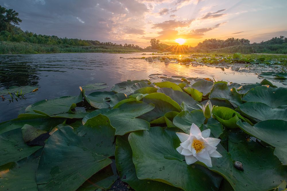 Фотография автора Андрей Жила
