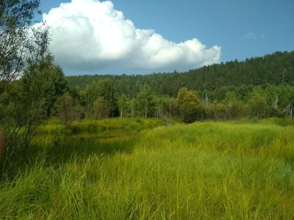 Photograph by Ольга Васильева