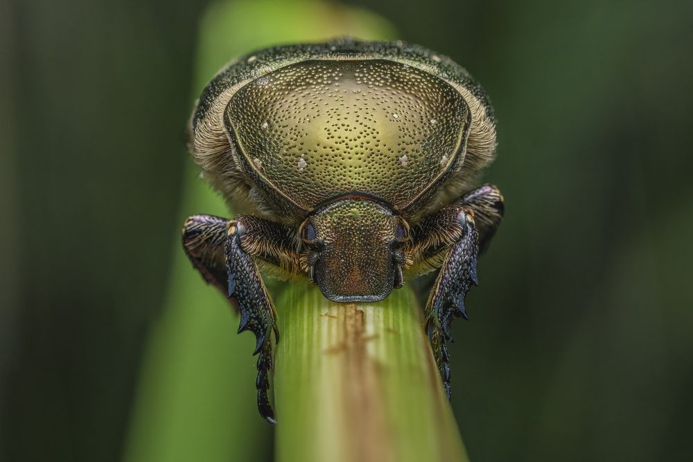 Photograph by Eimar Kull