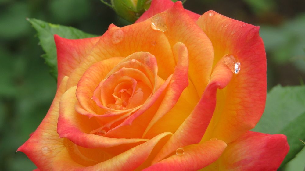 Photograph by Semyon Vasilevskiy