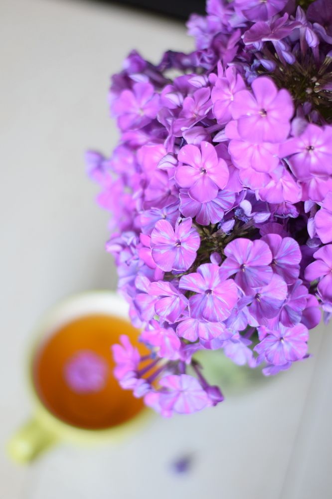 Photograph by Юля Шуравенкова