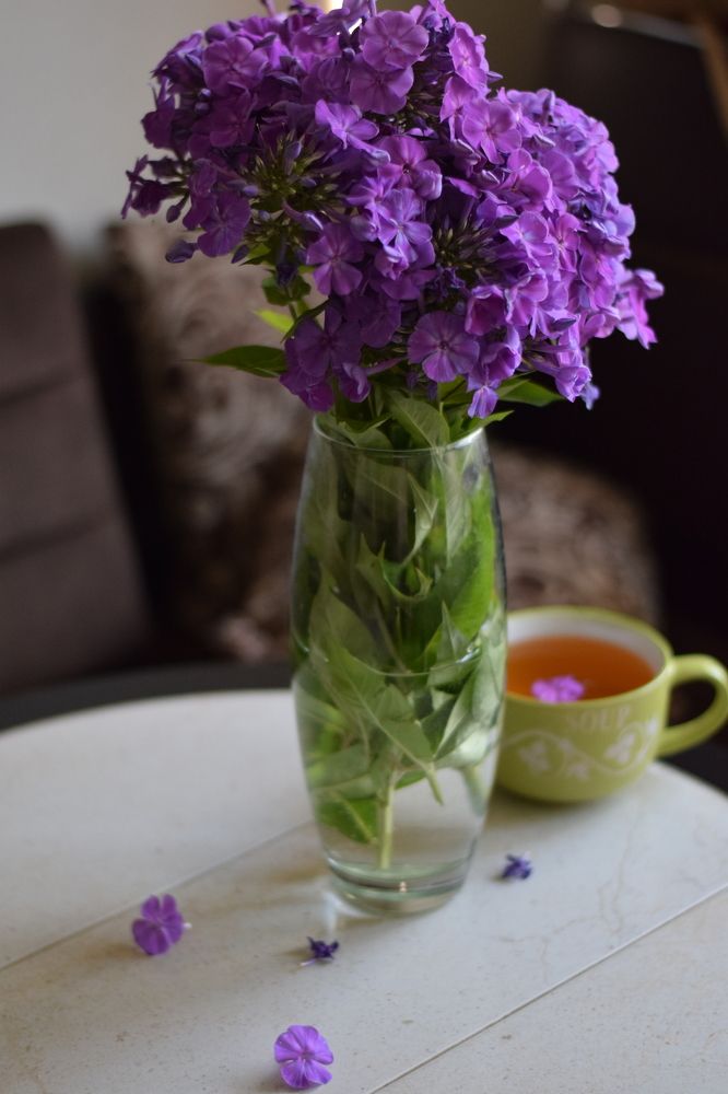 Photograph by Юля Шуравенкова