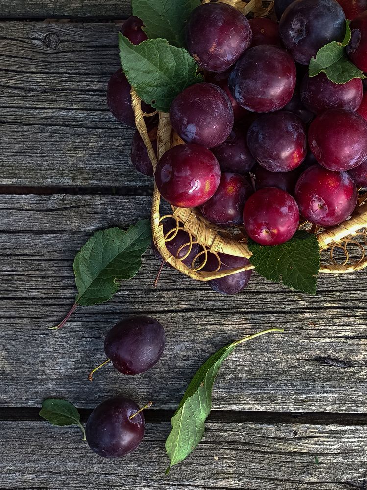 Photograph by Ирина Дегтярева