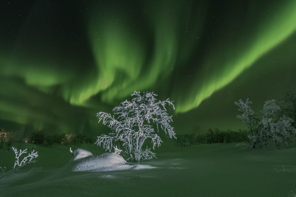 Зимняя феерия