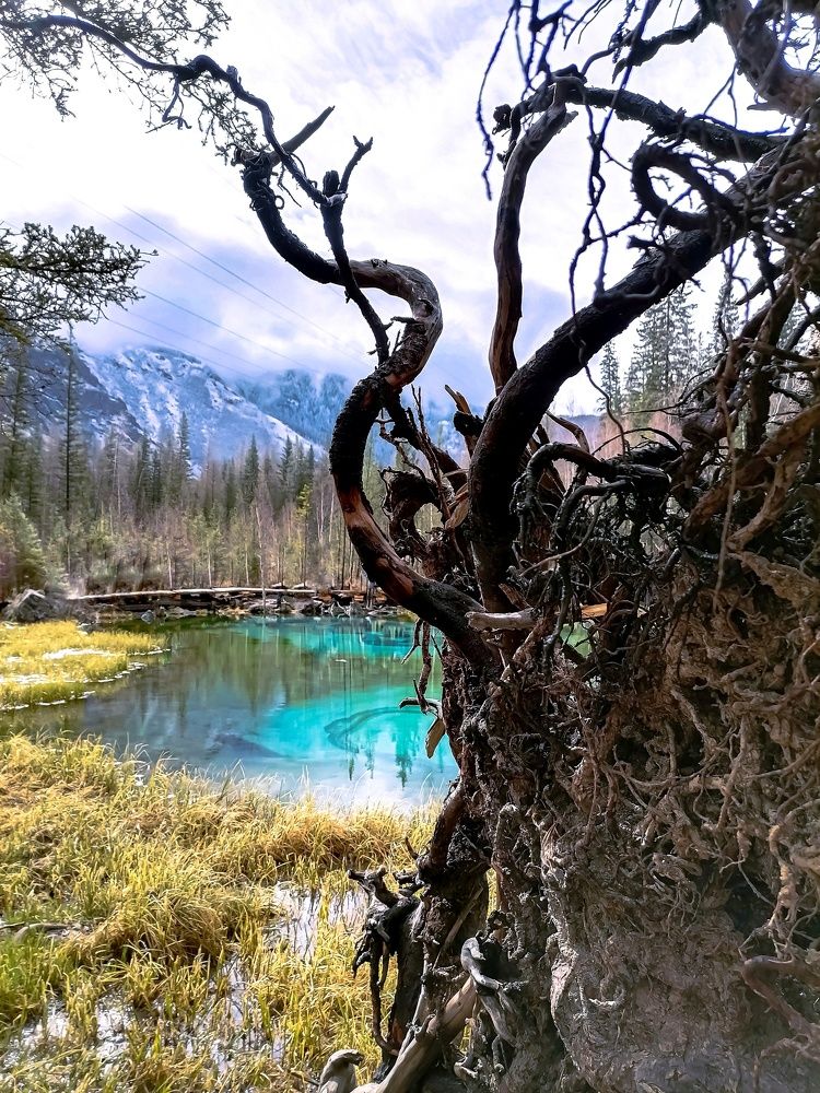 Photograph by Наталья Веряскина